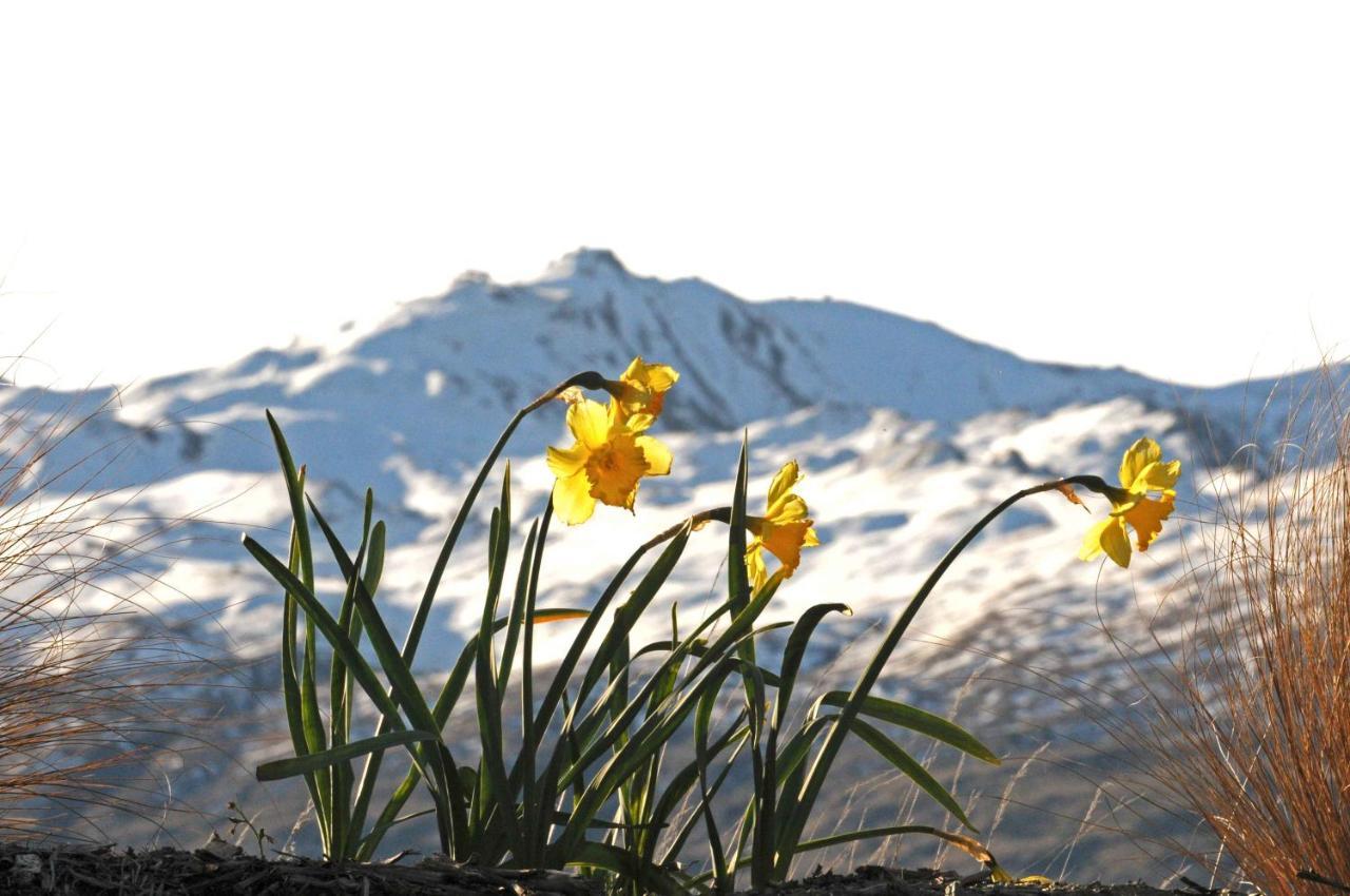 Hawkridge Alpine Suite Квінстаун Екстер'єр фото